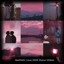 Aesthetic Love 2026 Status Videos