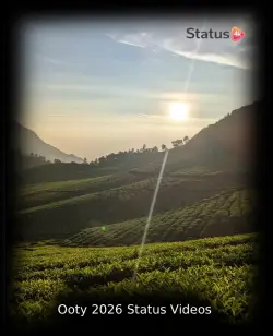 Ooty 2026 Status Videos