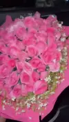 100 Roses Surprise for Girlfriend Status Video Download ❤️🧿 | Grand Romantic Gesture Shorts 2026