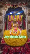 Adalpur Shitala Mata Mandir Aarti Status Video 2026 Download