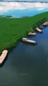 Alleppey Backwaters Drone Short Status Video 2026 Download