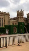 Bangalore Palace Trending Reels Status Video 2026 Download