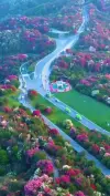 Beautiful Spring Nature Status Video Download 2026 Full Screen