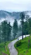 Best 4K Full Screen Murree After Rain Status Video Download 2026 | HD Mountains Explore Travel Pakistan WhatsApp Status