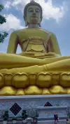 Biggest Buddha Statue Travel WhatsApp Status Video 2026 Download