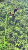 Bungee Pokhara Nepal Jump Status Video 2026 Download