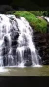 Coorg Scotland of India WhatsApp Status Video 2026 Download