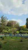 Cubbon Park Vidhana Soudha Nature Status Video 2026 Download