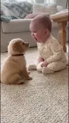Cutest Baby and Puppy Bonding Moments Status Video 2026 Download