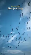 Darjeeling Cinematic Shots Status Video 2026 Download