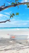 Good Weather Boracay February 2026 Status Video 2026 Download