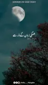 Hadees Reminder Islamic Status Video Download 2026
