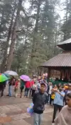 Hadimba Devi Temple Manali Status Video 2026 Download