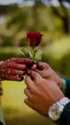 Happy Rose Day Status Video Download 💐 | Viral Love Shorts for WhatsApp 2026