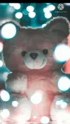 Happy Teddy Day Fullscreen Status Video Download | For WhatsApp & Instagram Story 2026