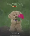 Happy Teddy Day Story Status Video Download 😘 | Royal Status 92 2026