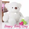 Happy Teddy Day WhatsApp Status Video Download ❤️❤️ | Viral Short Video 2026