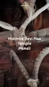 Hidimba Devi Maa Temple Built 1553 Status Video 2026 Download