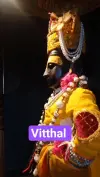 Jai Hari Vitthal Devotional Status Video Download 2026
