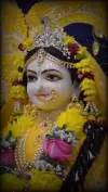 Jai Radha Madhav Jai Kunj Bihari Radha Krishna Shorts Video 2026 Download