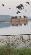 Jal Mahal Jaipur Love Status Video 2026 Download
