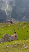 Jannat e Kashmir Mountains Travel Status Video 2026 Download