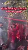 Kamakhya Temple Guwahati Assam Status Video 2026 Download