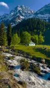 Kashmir Valley Trip Cinematic Status Video 2026 Download