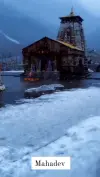 Kedarnath Mahadev Status Video 2026 Download