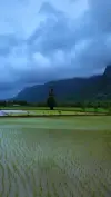 Kerala Monsoon Travel Status Video 2026 Download