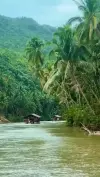 Kerala Nature Paradise Status Video 2026 Download