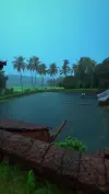 Kerala Rain Nature Beauty Status