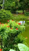 Lal Bagh Bangalore Status Video 2026 Download