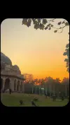 Lodhi Garden Cinematic Videography iPhone Status Video 2026 Download