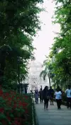 Lodhi Garden Delhi Trending Status Video 2026 Download
