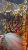 Maa Vindhyavasini Kripa Sab Par Bani Rahe Status Video Download 2026 HD