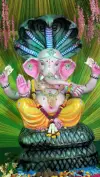 Maghi Ganesh Jayanti Bhakti Moments Status
