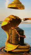 Mahadev Bholenath Mahakal Divine Status Full HD Video 2026 Download