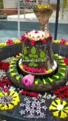 Mahadev Status Video Mahashivratri 2026 Viral Shorts Status Video Download