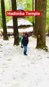 Manali Status Hadimba Temple Video 2026 Download