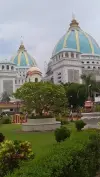 Mayapur Status Video 2026 Download