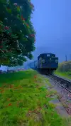 Mettupalayam Ooty Toy Train Status Video 2026 Download