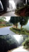Mirik Road Darjeeling WhatsApp Status Video 2026 Download