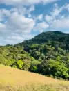 Mullayanagiri Peak Karnataka Status Video 2026 Download