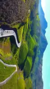 Munnar Kerala Paradise Status Video 2026 Download