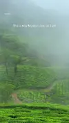 Munnar Monsoon Romance Status Video 2026 Download