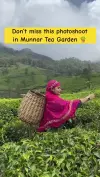Munnar Tea Gardens Photoshoot Status Video 2026 Download