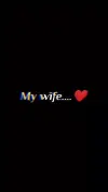 My Wife Can I Say This Again Status Video Download 2026 | Trending Full HD