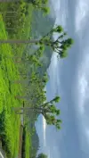 Nature Lover Munnar Vibes Status Video 2026 Download