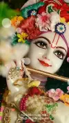 Divine Beauty Of Krishna Devotional Status Video 2026 Download